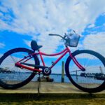North Shore Turtles Bike - Beach Cruiser