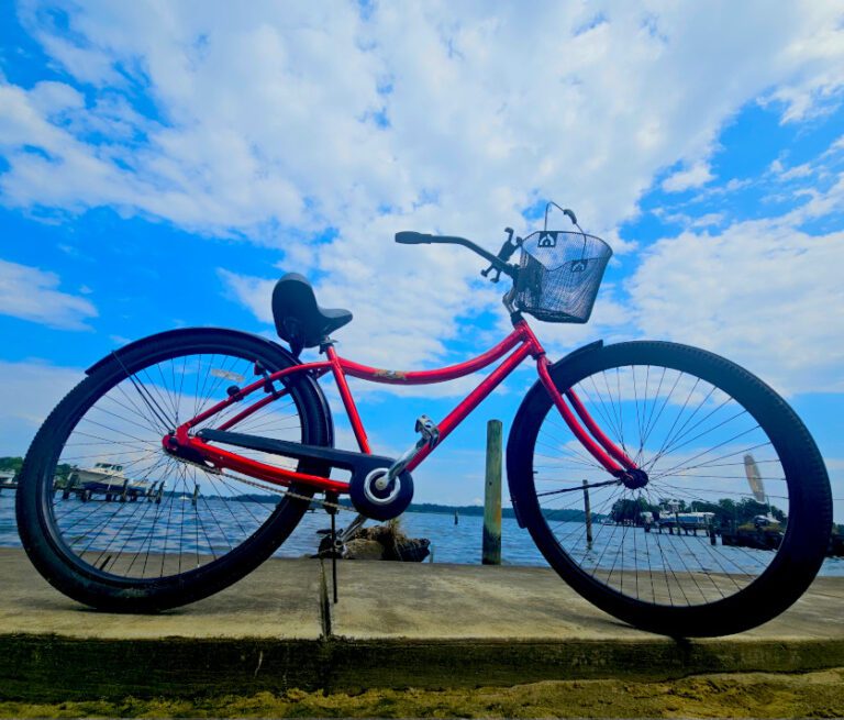North Shore Turtles Bike - Beach Cruiser